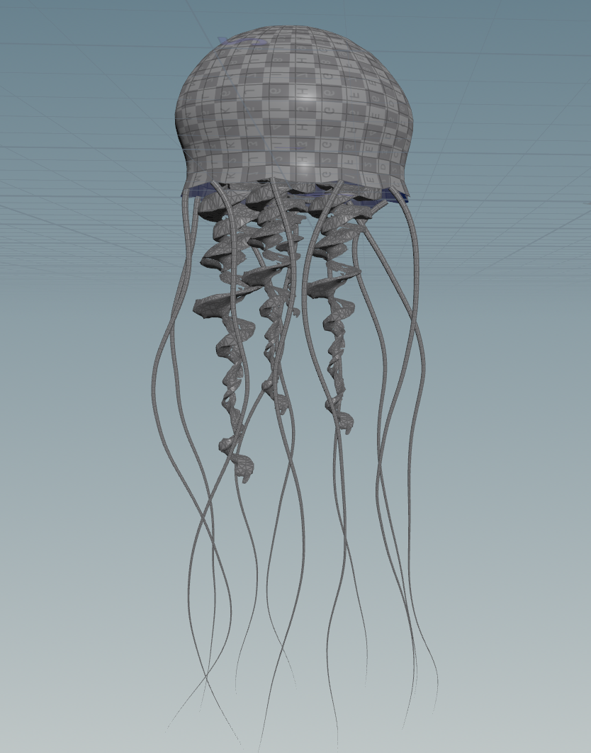 jellyfish